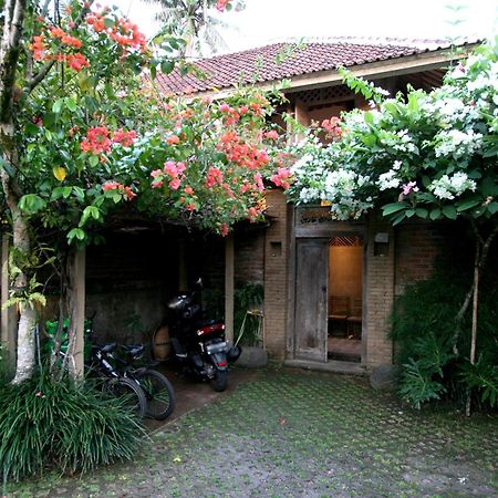 Artist Eco Villa In Ubud Esterno foto